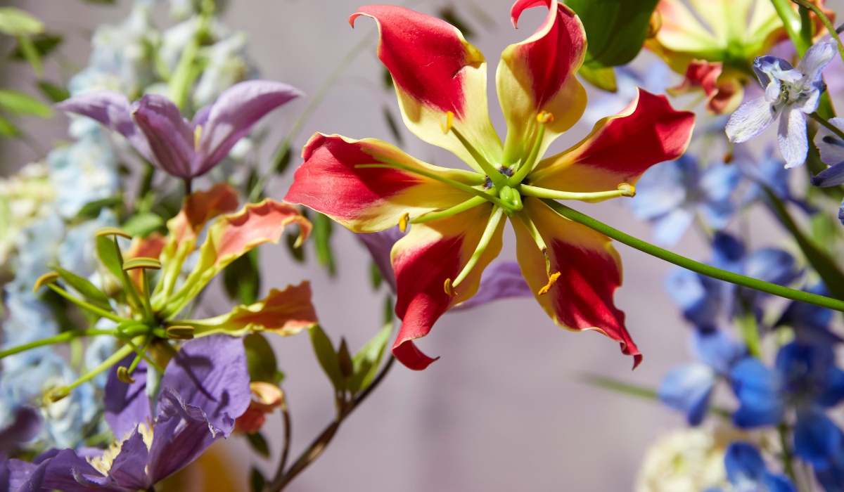 Marginpar&rsquo;s Varieties Shine in BLOOM's Refreshed & Positive Creative, Feminine and Playful Arrangements.