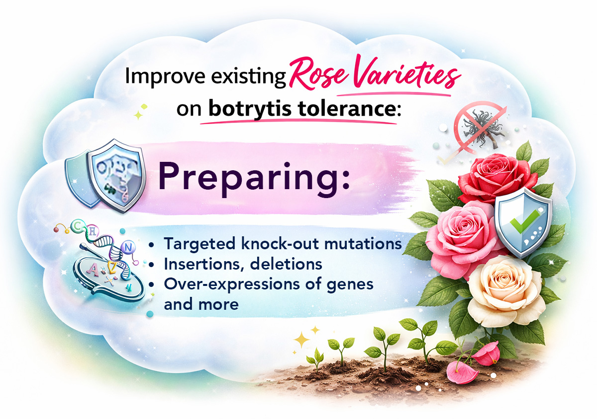 R and D Project Improve Existing varieties