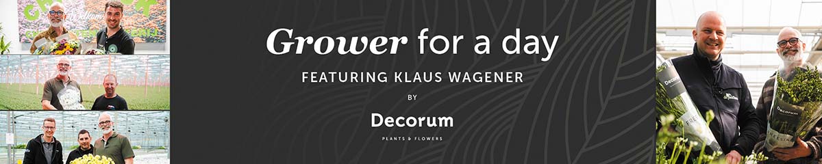 BannerDecorumKlausWagener