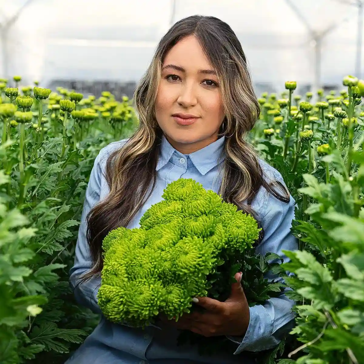 Chemical use in Flower Farming Feature Image