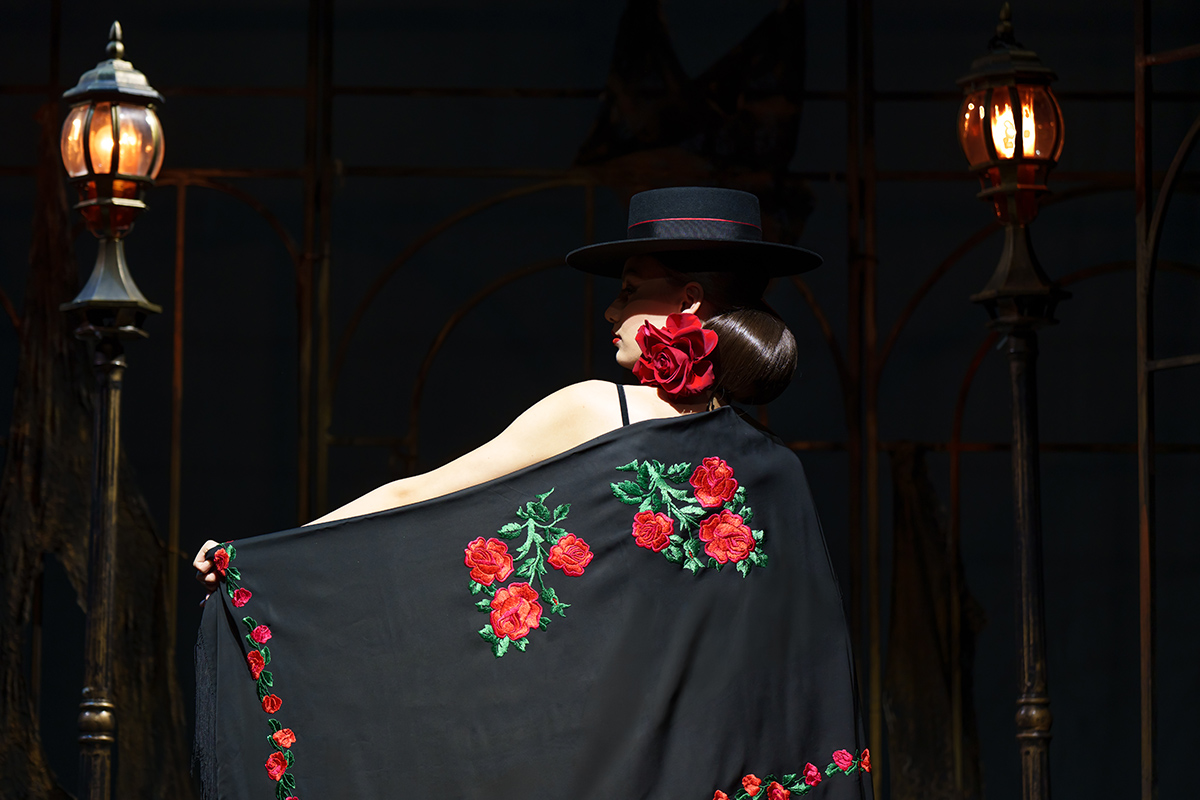 Laura Draghici Flamenco model black shawl