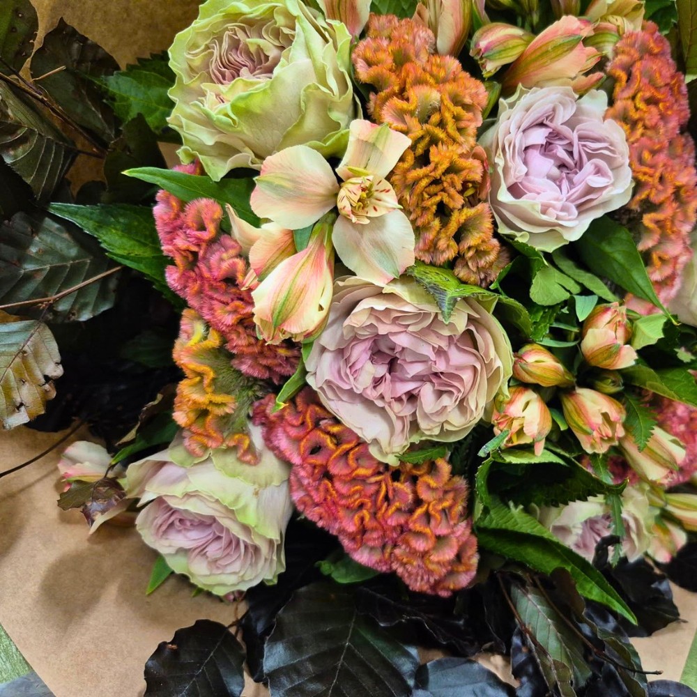 The Delightful Rose Magique From Fontana Flowers, Bred by Interplant Roses.