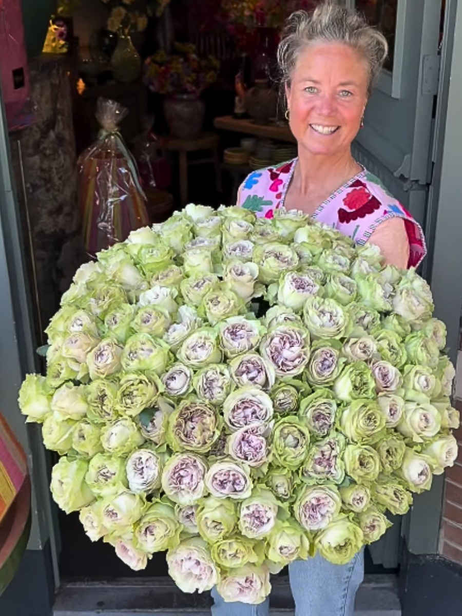 The Delightful Rose Magique From Fontana Flowers, Bred by Interplant Roses.