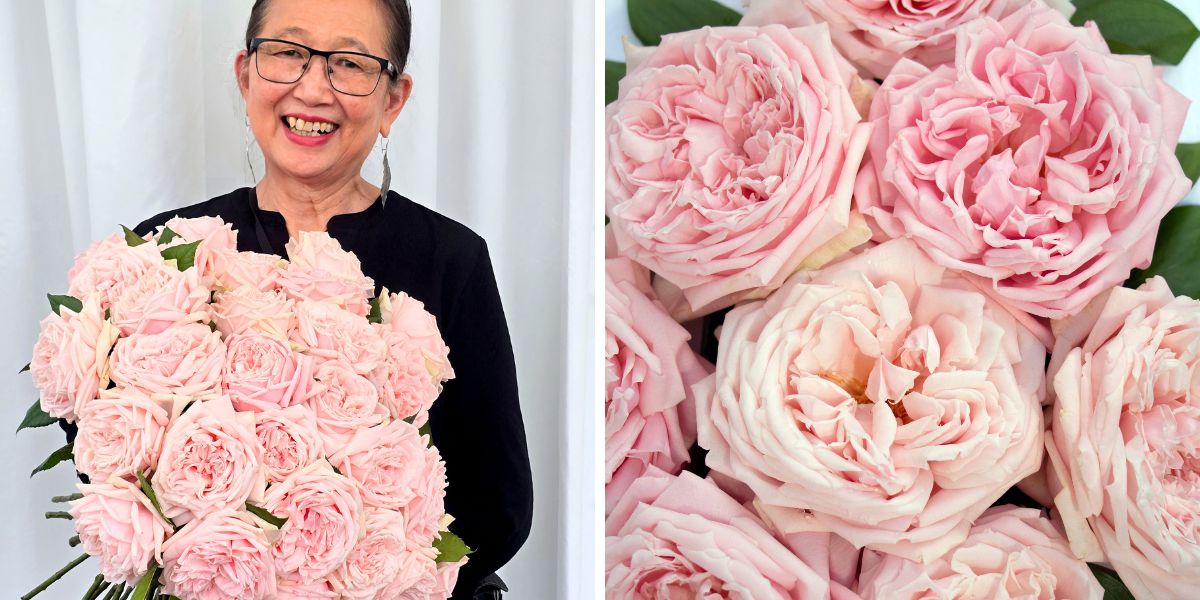 Hitomi Gilliam with Princess Hitomi roses