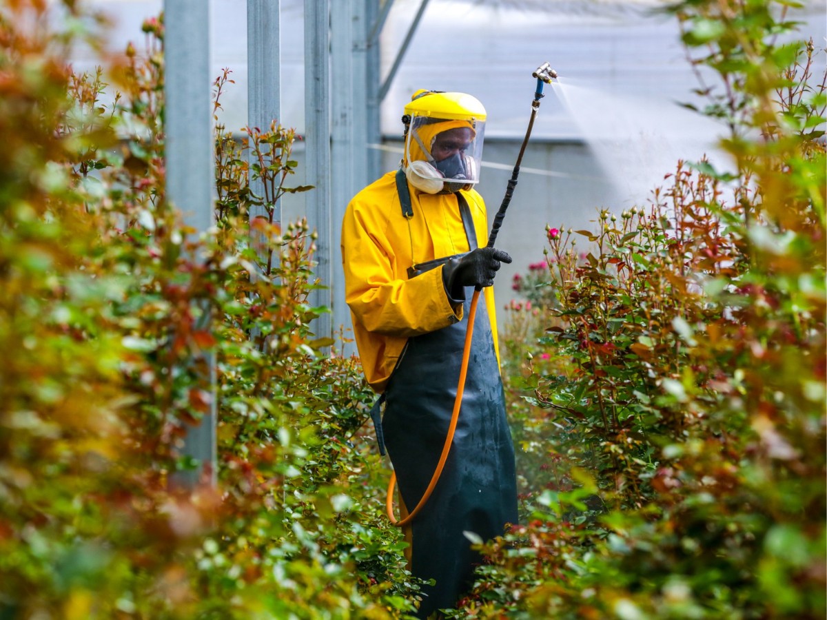 Chemical and Biological Crop Protection in Floriculture &ndash; Understanding the Nuances