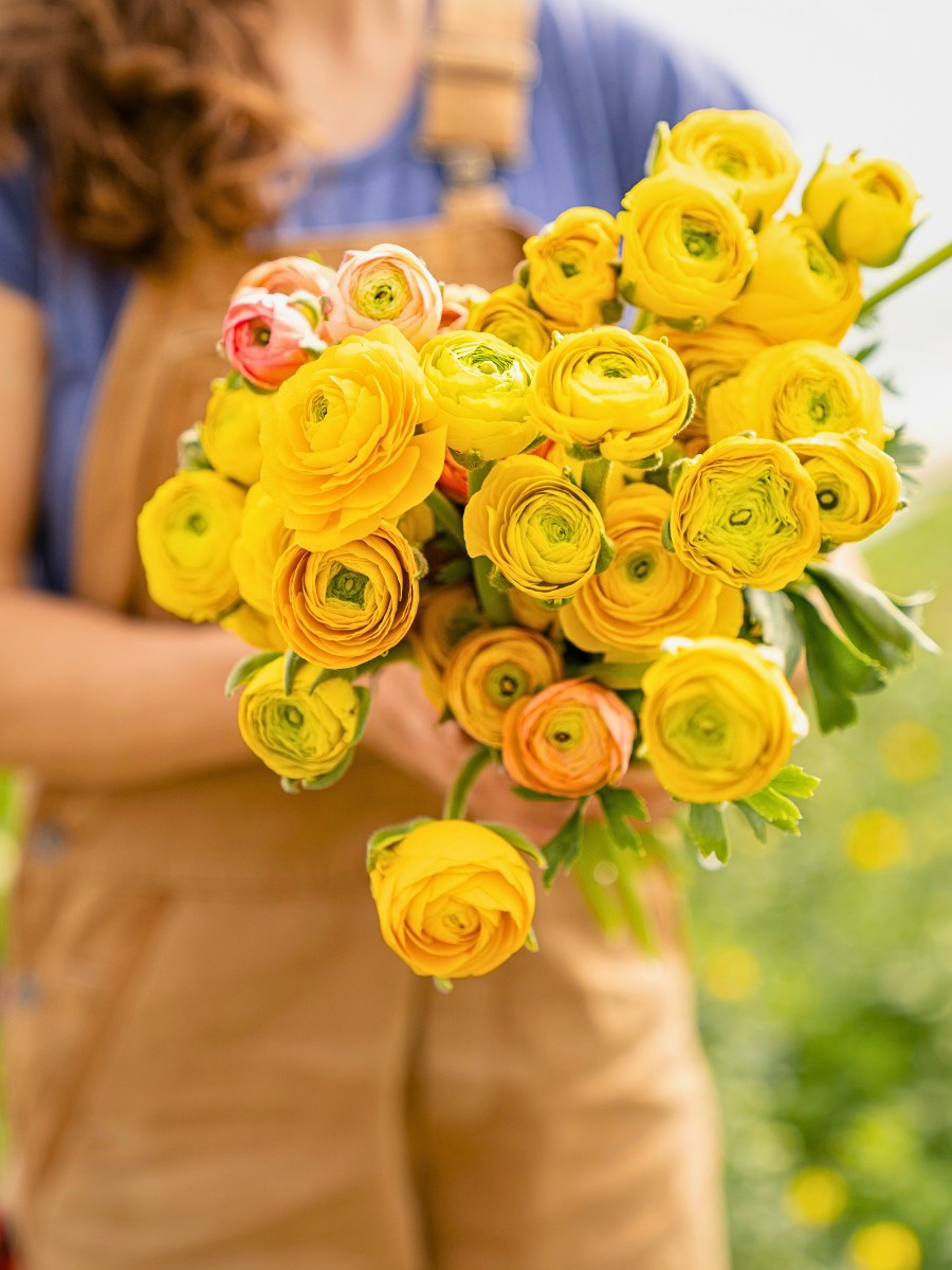 Chemical and Biological Crop Protection in Floriculture &ndash; Understanding the Nuances