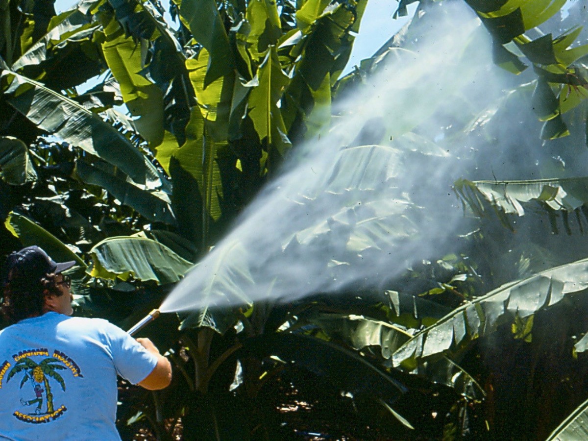 What You&rsquo;d Want to Know When It Comes to Chemical and Biological Crop Protection Approaches in Floriculture