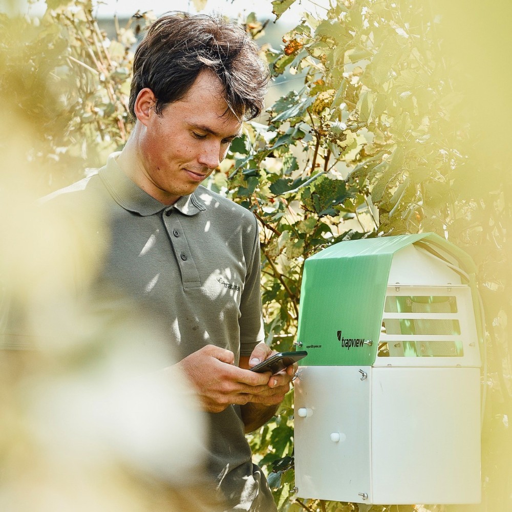 What You&rsquo;d Want to Know When It Comes to Chemical and Biological Crop Protection Approaches in Floriculture