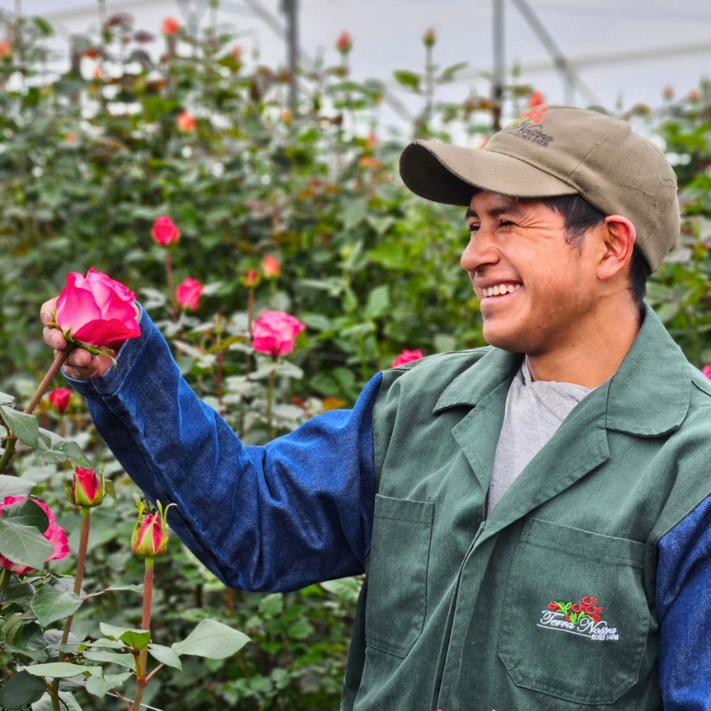 What You&rsquo;d Want to Know When It Comes to Chemical and Biological Crop Protection Approaches in Floriculture