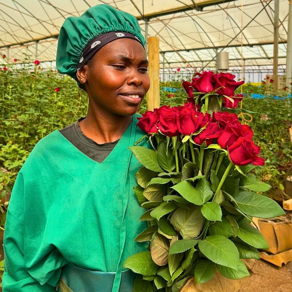 KFC Calls for Government Support as Middle East Conflict Sparks Export Disruptions