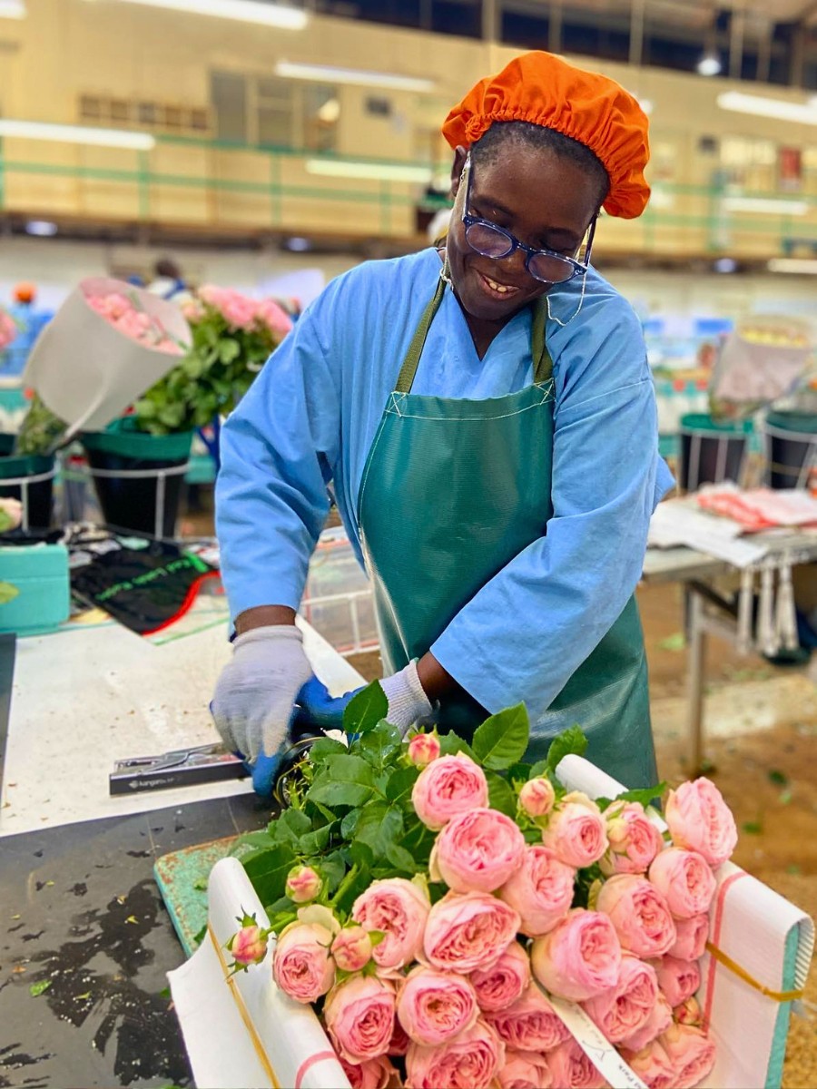 KFC Calls for Government Support as Middle East Conflict Sparks Export Disruptions