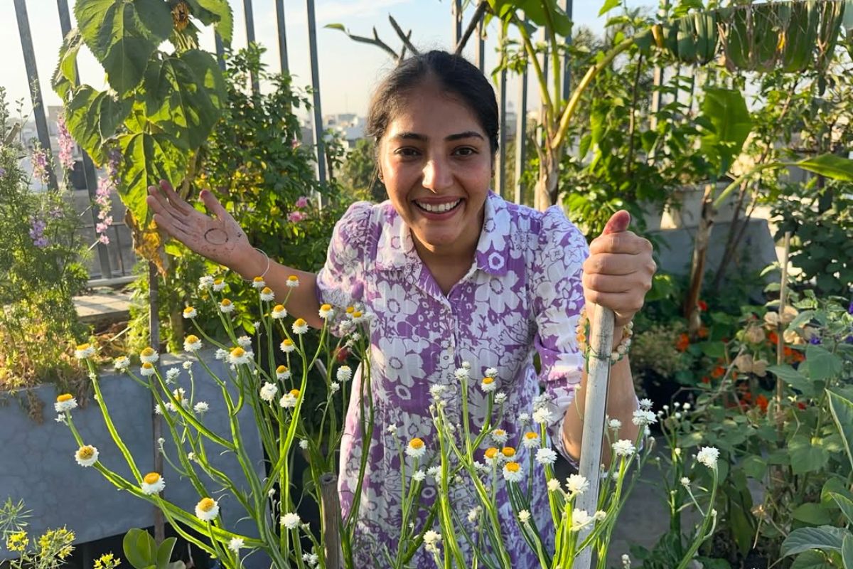 Beautifying a garden for National Gardening Day
