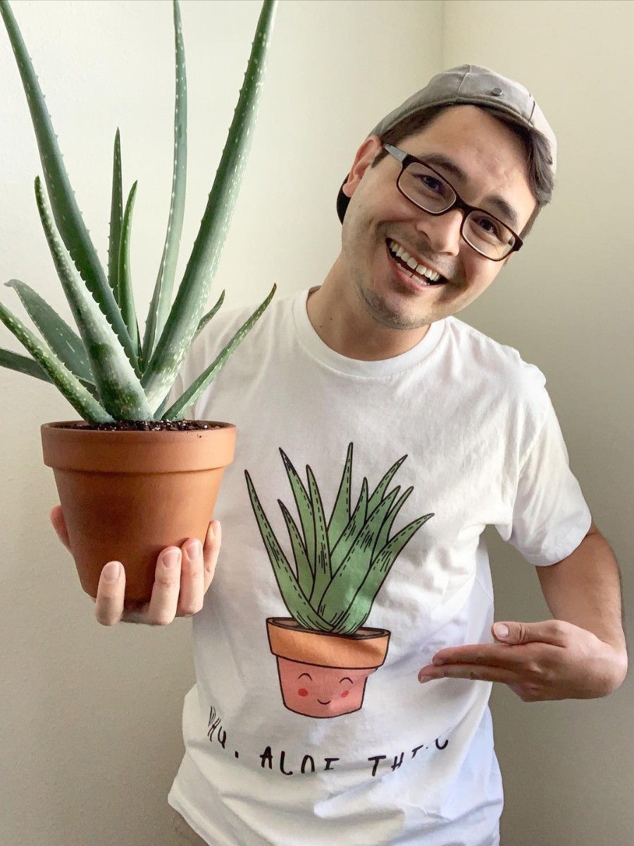 Plants That Enhance Your Interior Design Projects