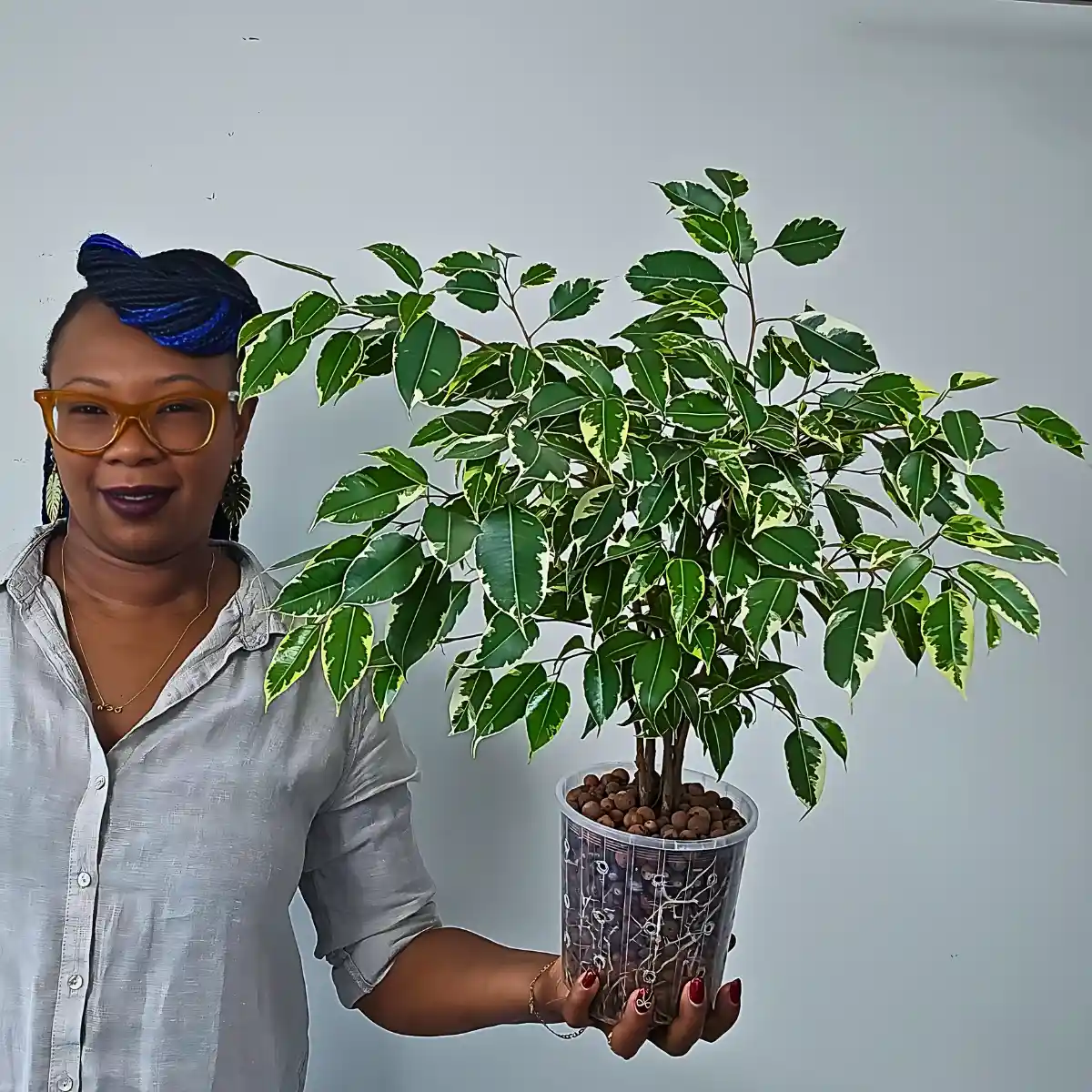 6 Plants That Will Enhance Your Interior Design Projects - Thursd Article