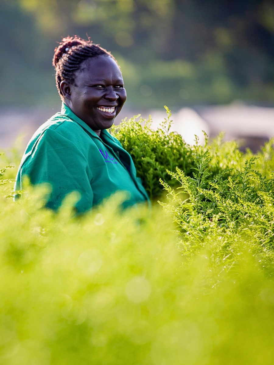 Marginpar Is Now 100% FSI Compliant