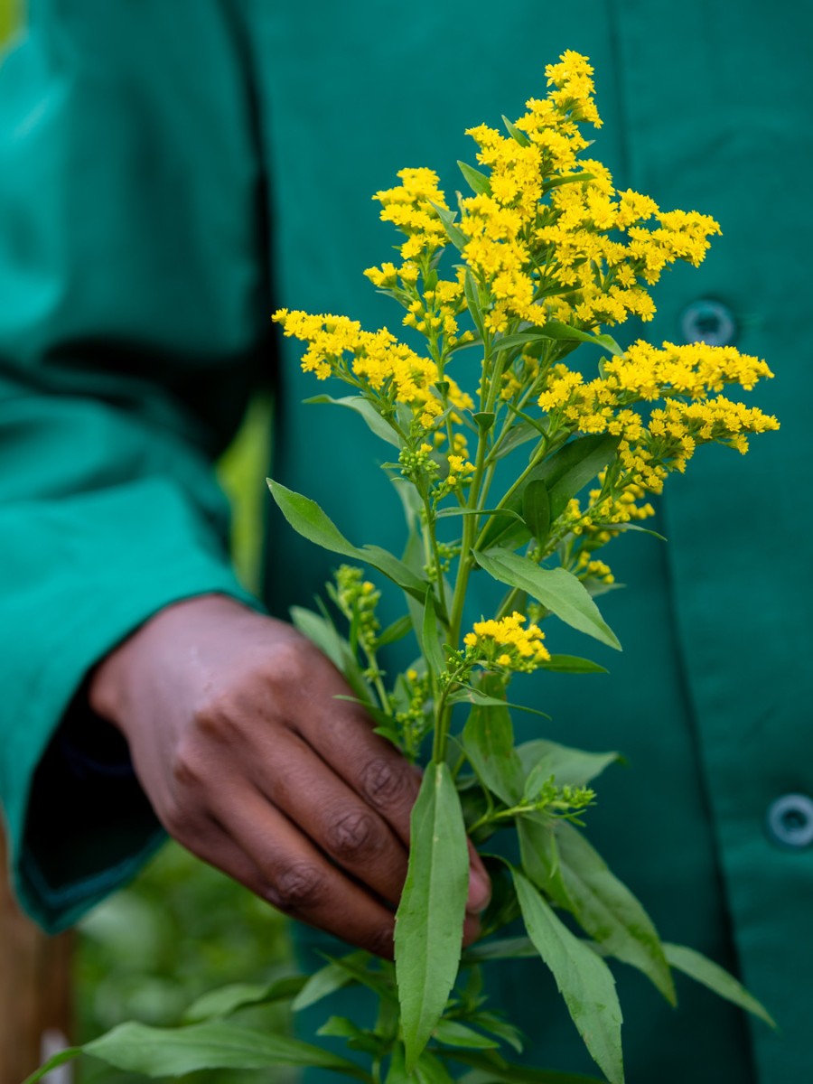 Marginpar Is Now 100% FSI Compliant, This Is What It All Means