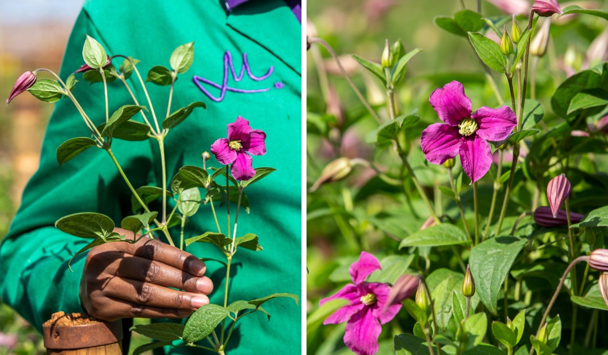 Marginpar Is Now 100% FSI Compliant, This Is What It All Means