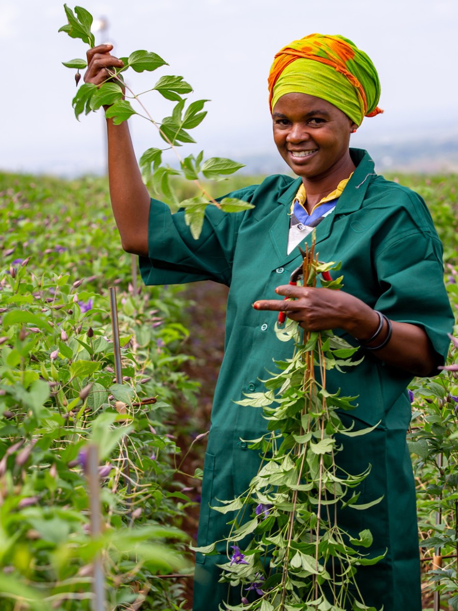 Marginpar Is Now 100% FSI Compliant, This Is What It All Means