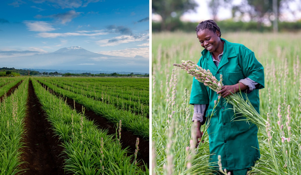 This Is What Marginpar&rsquo;s 100% FSI Compliance Certification Means for Their Sustainability Operations.