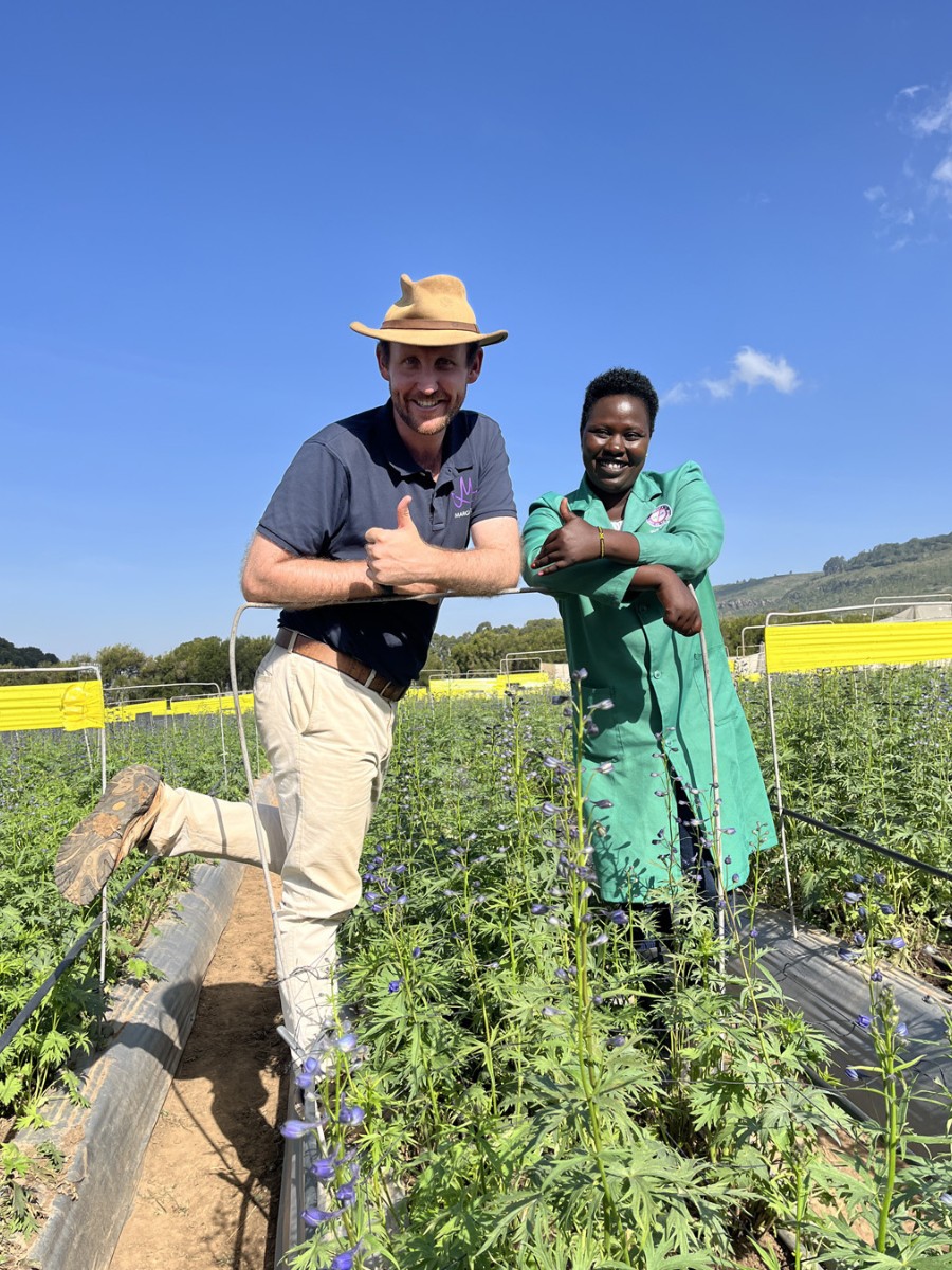 Marginpar Is Now 100% FSI Compliant, This Is What It All Means