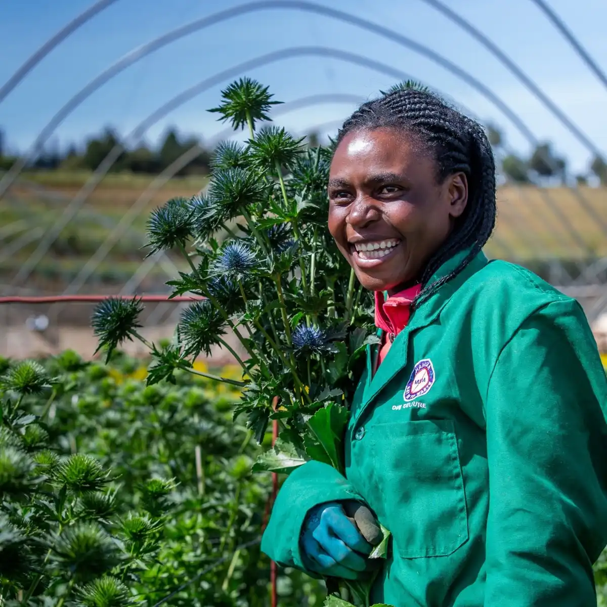 This Is What Marginpar’s 100% FSI Compliance Certification Means for Their Sustainability Operations.