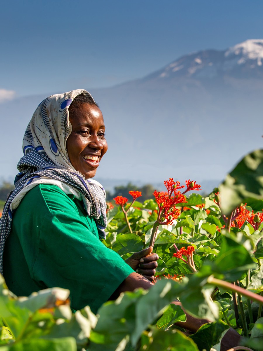 This Is What Marginpar&rsquo;s 100% FSI Compliance Certification Means for Their Sustainability Operations.