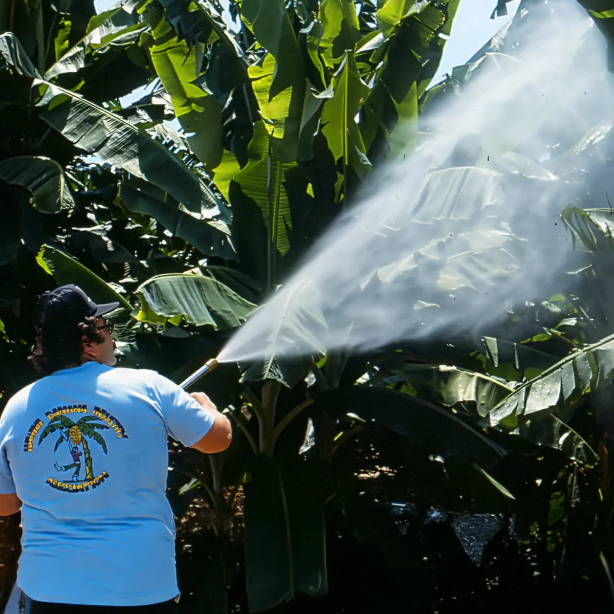 What You’d Want to Know When It Comes to Chemical and Biological Crop Protection Approaches in Floriculture