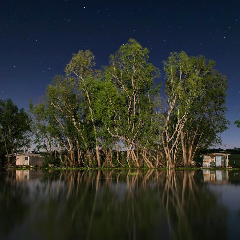 Frank Relle Captures Enigmatic Louisiana Swamplands in Nightly Photos