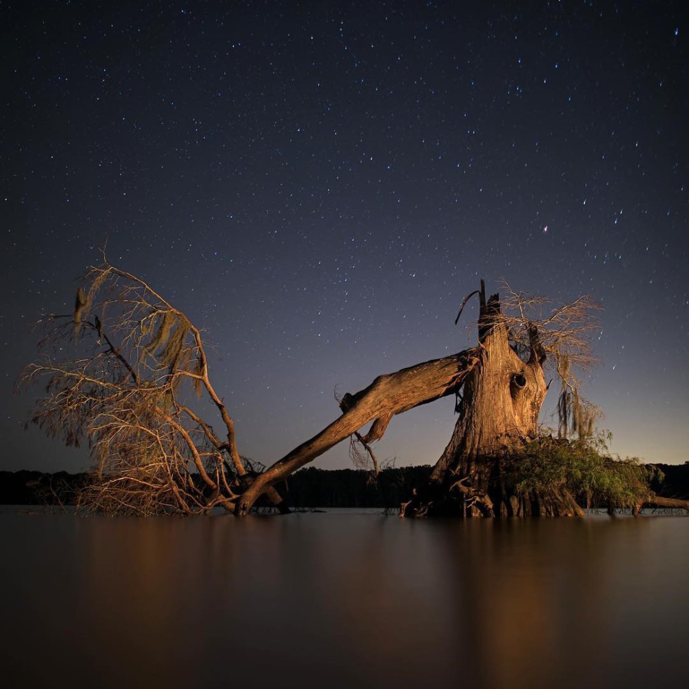 Frank Relle Captures Enigmatic Louisiana Swamplands in Nightly Photos