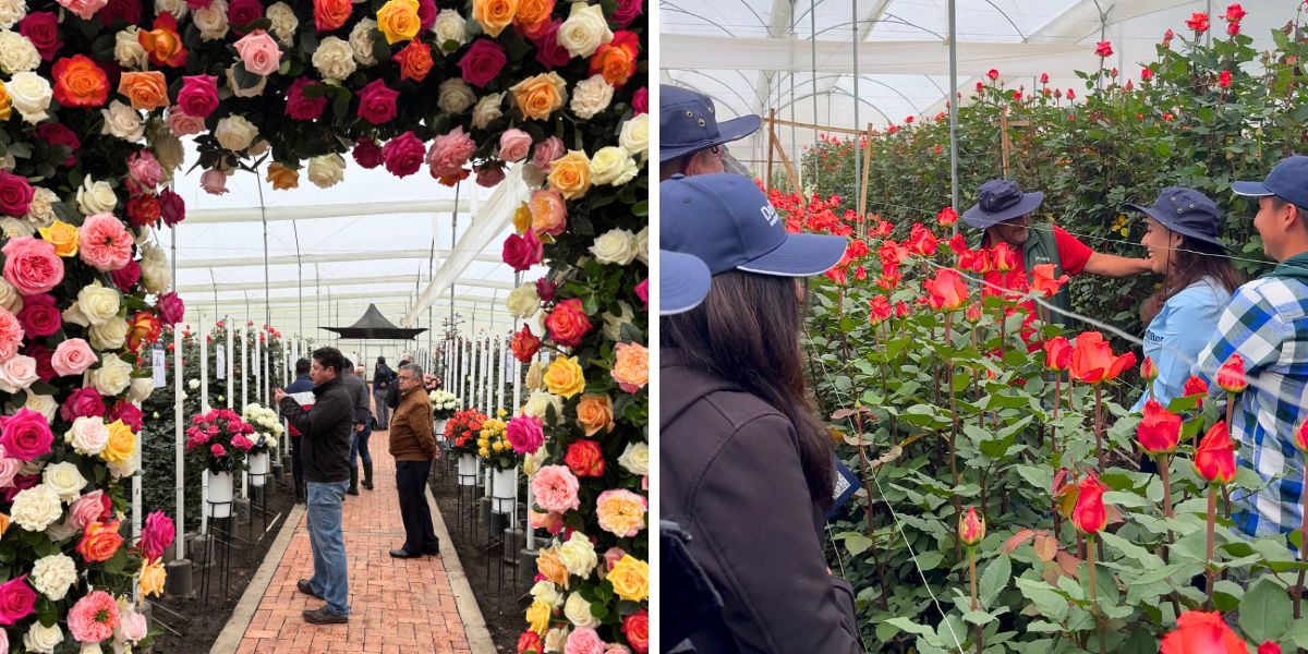 Visitors during Open Days in Colombia