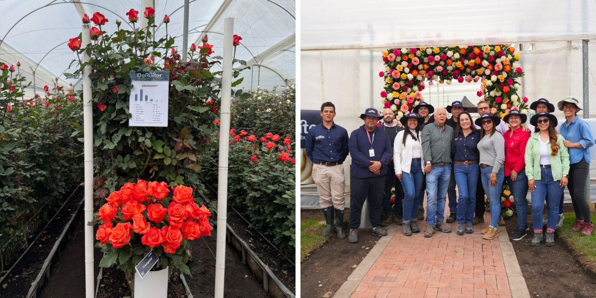 Open House event in Bogota De Ruiter