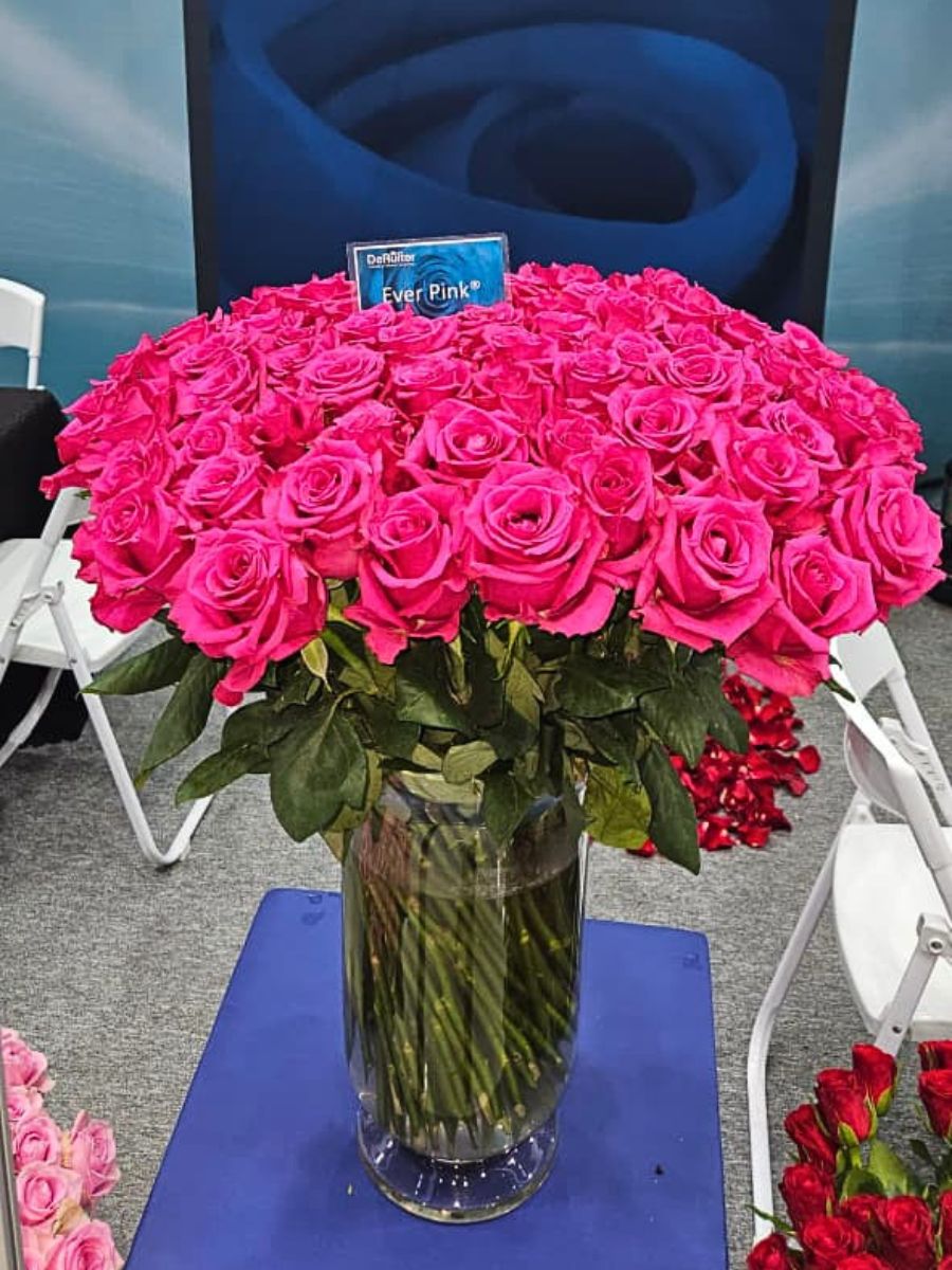 De Ruiter Innovations