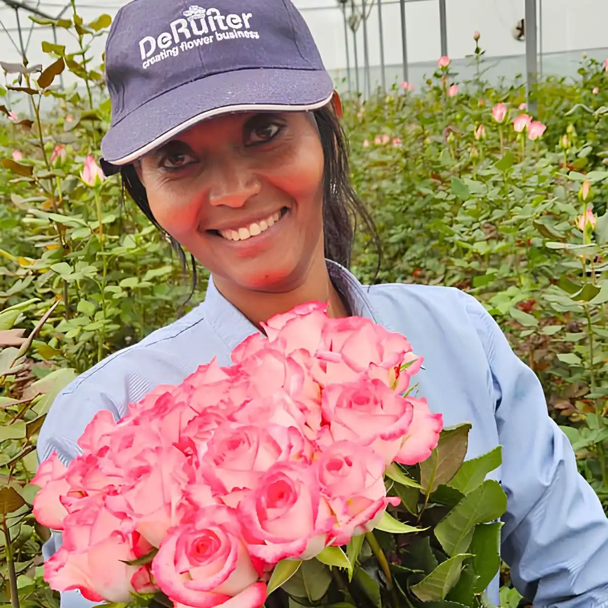 De Ruiter Innovations