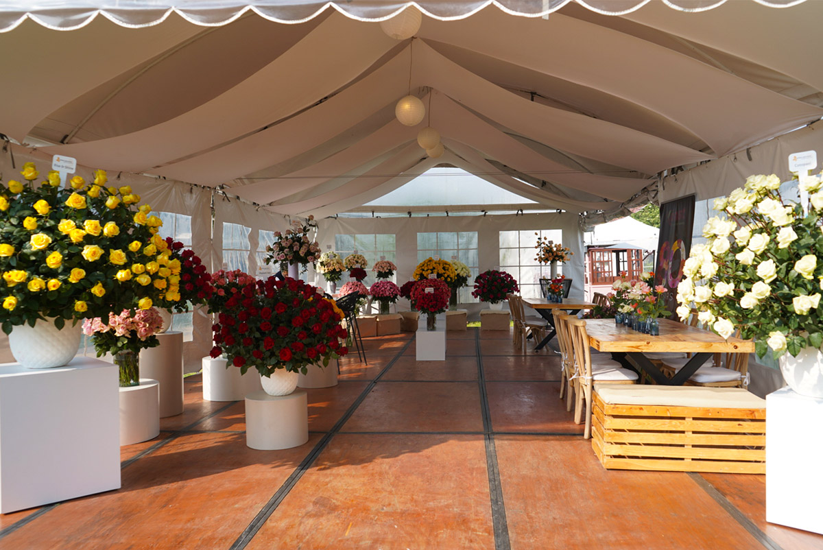 United Selections Open Days 2026 Indoor