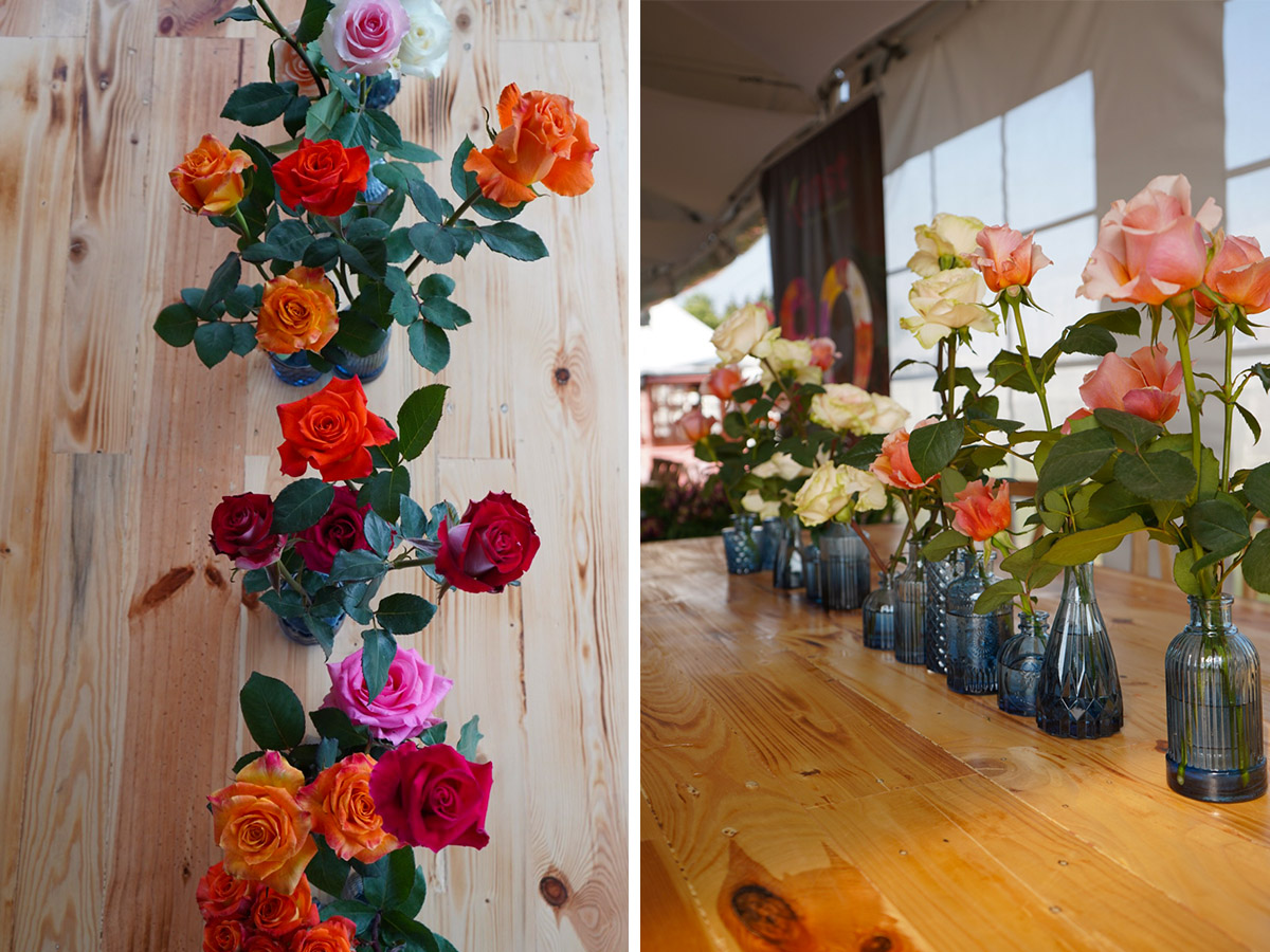 United Selections Open Days Colombia 2026 roses on table