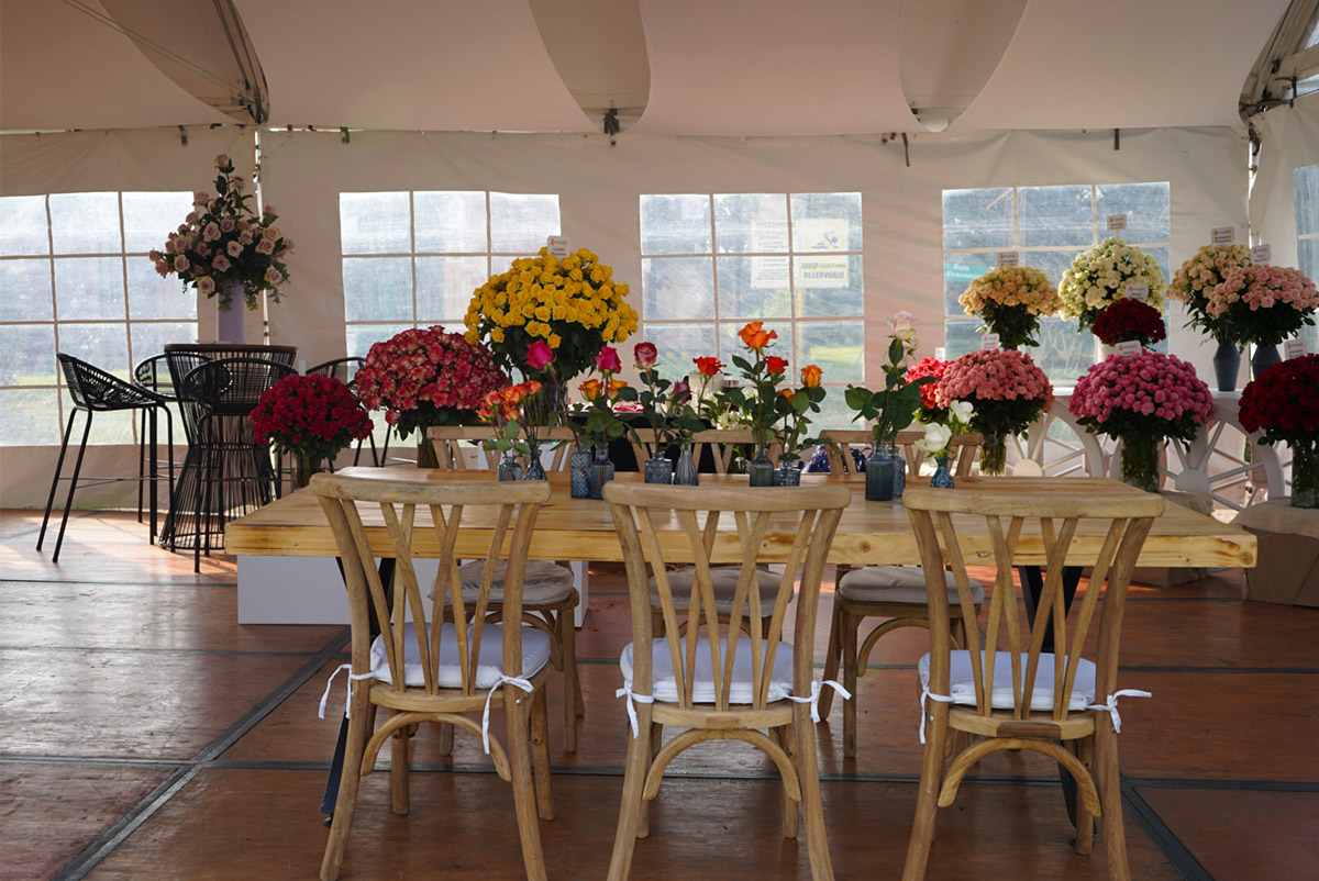 United Selections Open Days 2026 Indoor table