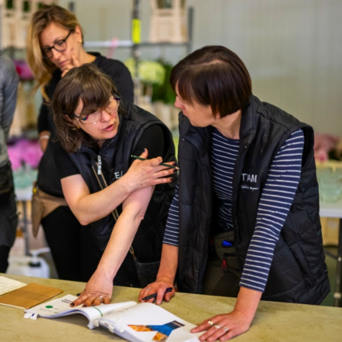 European Master Certification Diana Toma for Tomas de Bruyne Events 