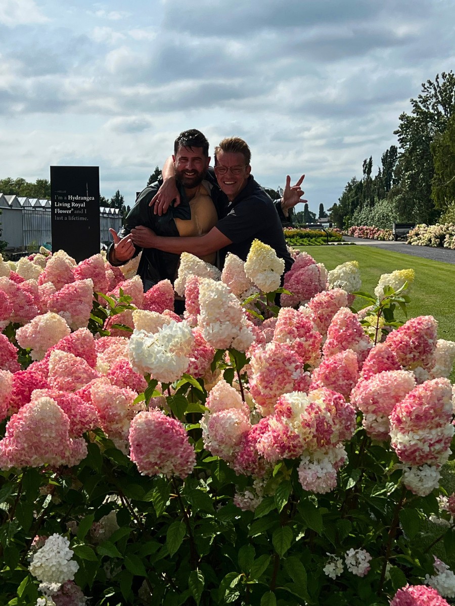 Mr Plant Geek: Living Creations&reg; Hydrangea Series