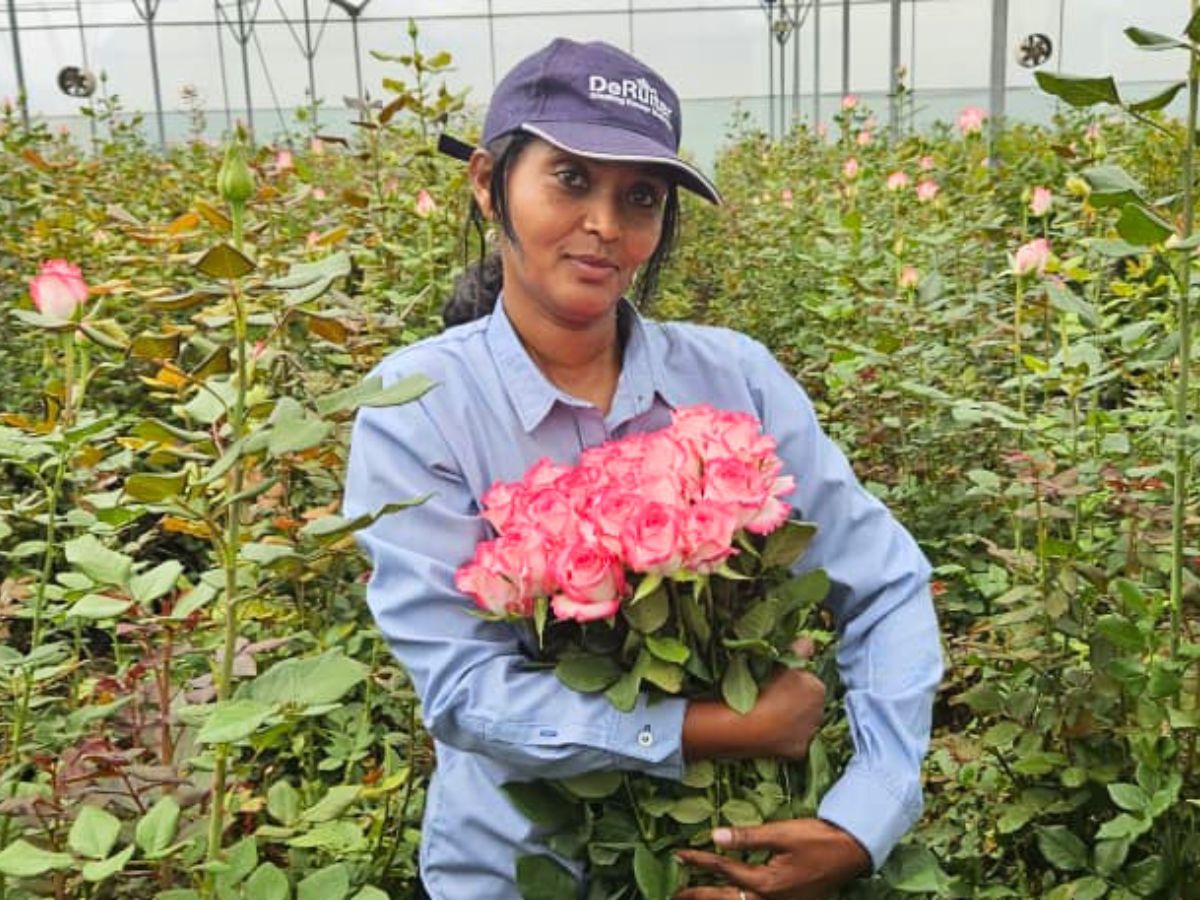 De Ruiter Innovations