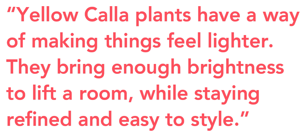 Yellow Calla Plants Easter quote