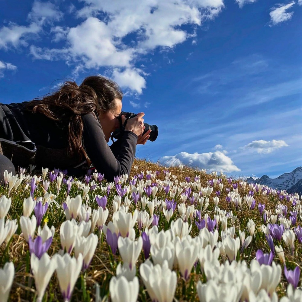 Which Are the First Flowers of Spring to Bloom, and Why They Come Before Others.