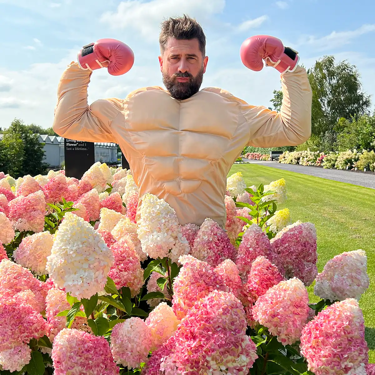 Michael 'Mr Plant Geek' Perry: Living Creations® Hydrangea Series Combines Beauty and Reliability