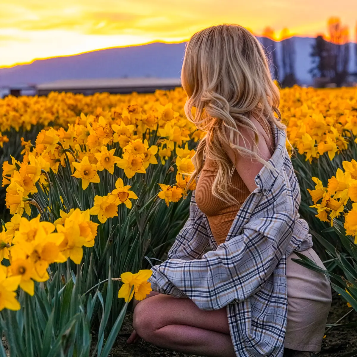 Which Are the First Flowers of Spring to Bloom, and Why They Come Before Others.