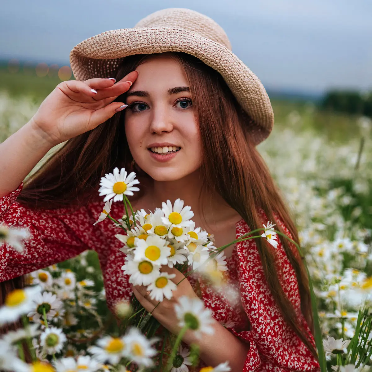 Daisy Flower Meaning - Deciphering the Meaning Behind Daisy Flowers - Featured Image