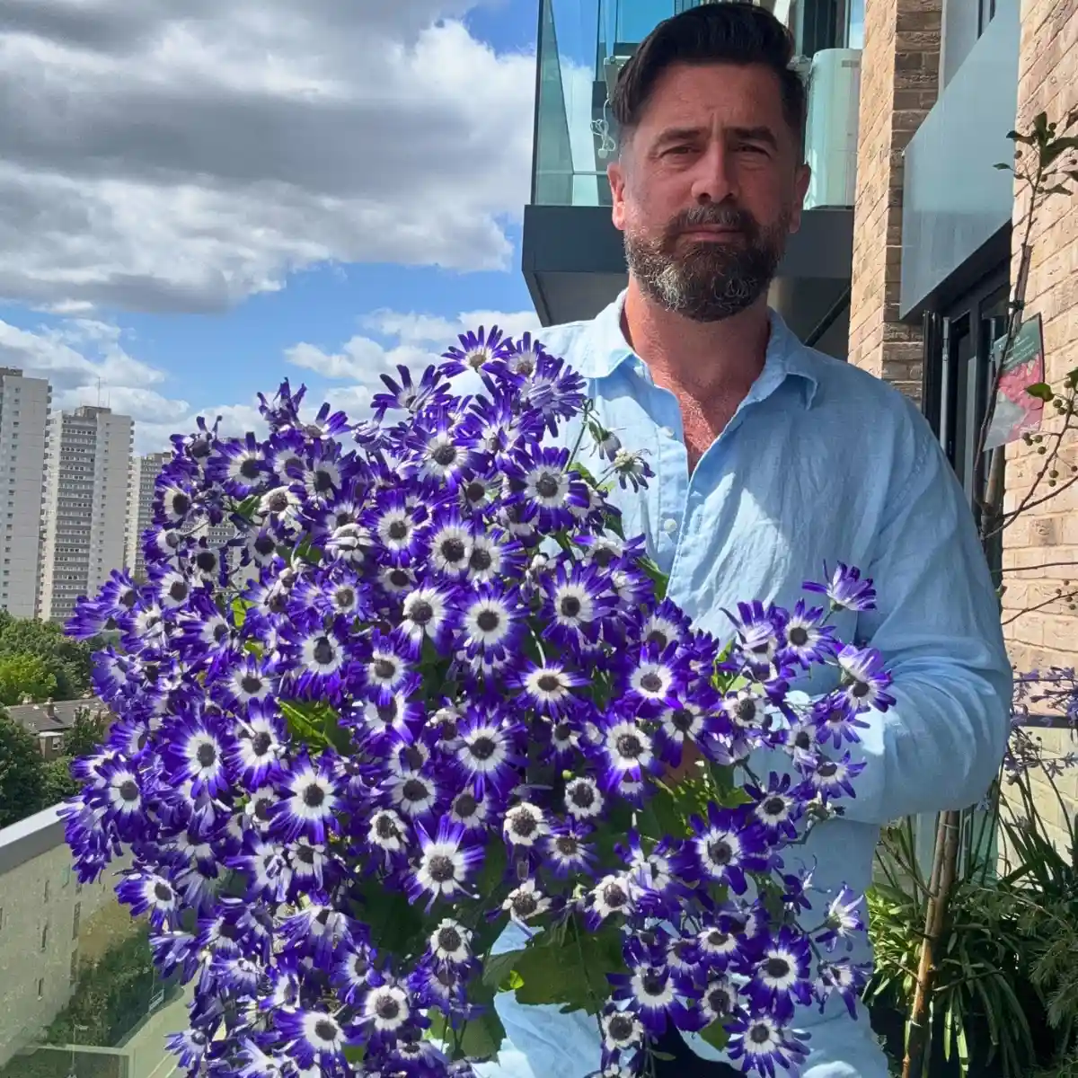 Michael ‘Mr Plant Geek’ Perry on Beekenkamp’s Pericallis Pop: The Plant With the Best Timing of All!