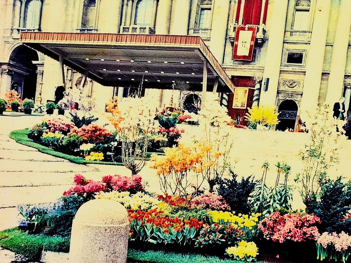 Flowers at the Vatican End Eighties