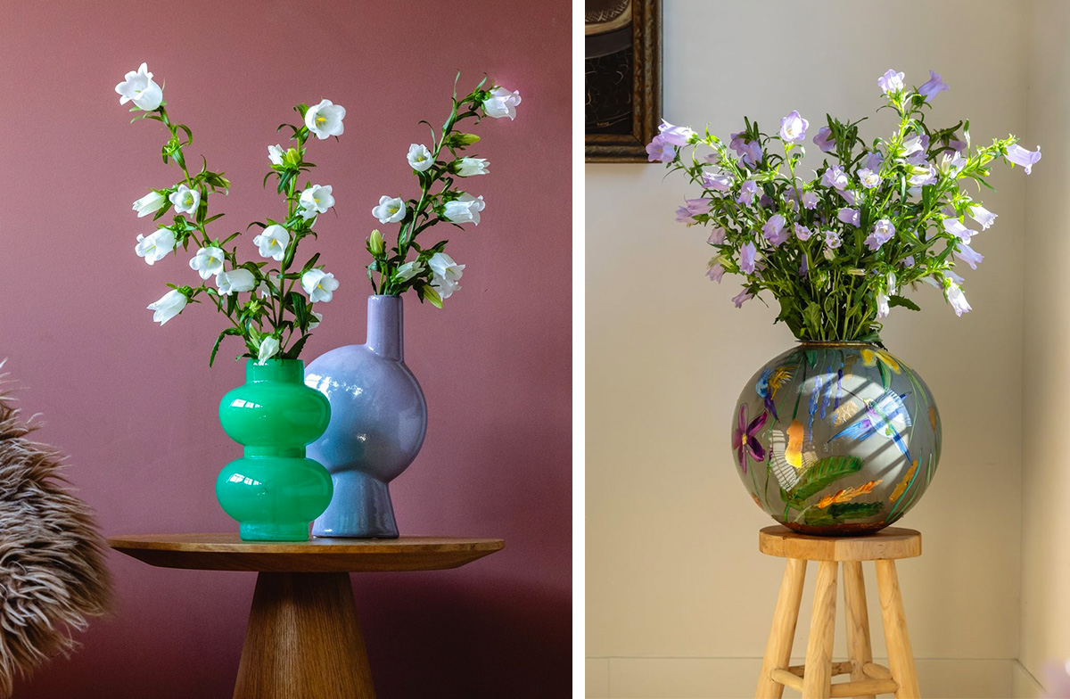 Campanulove Campanula mono bunches in vase