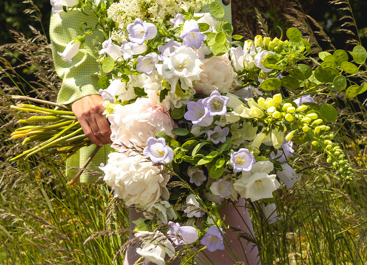 Campanulove Campanula bouquet in field