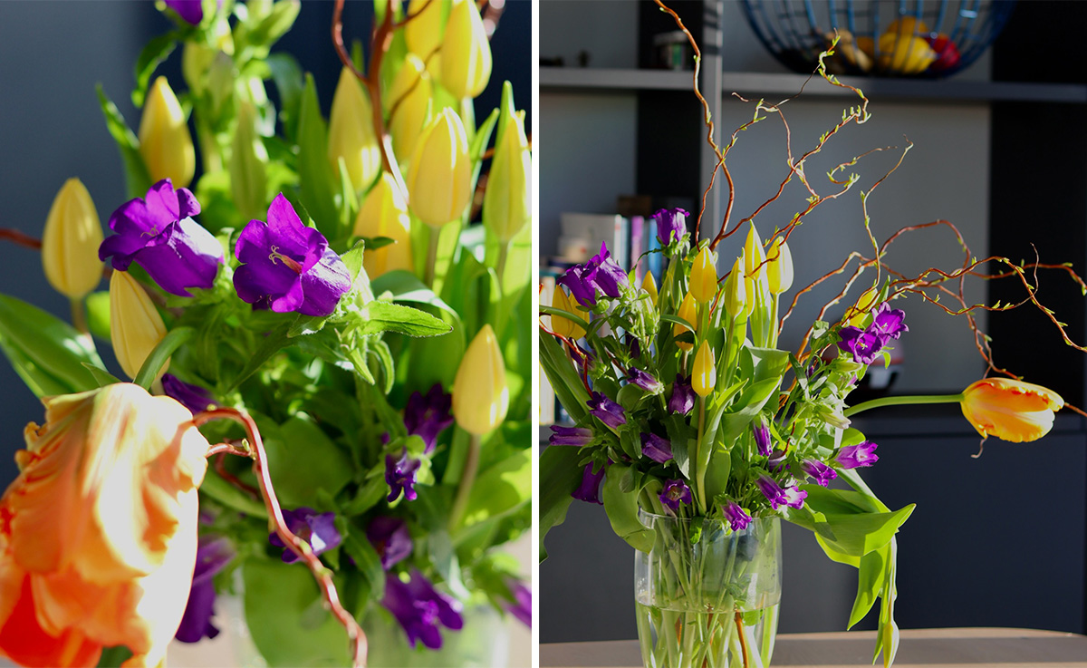 Campanula Tulip bouquet