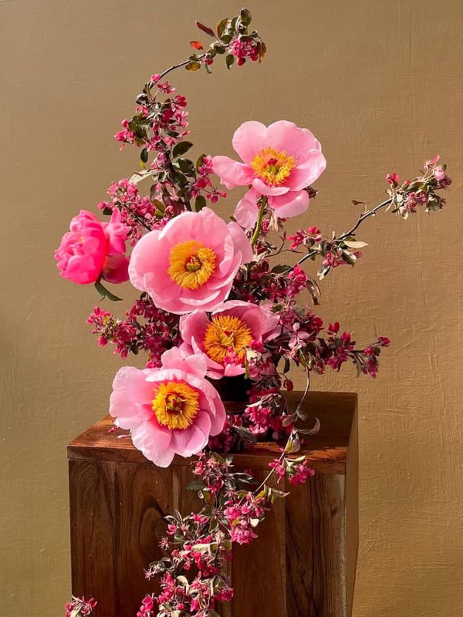 Peony Soft Salmon Saucer by sageforest